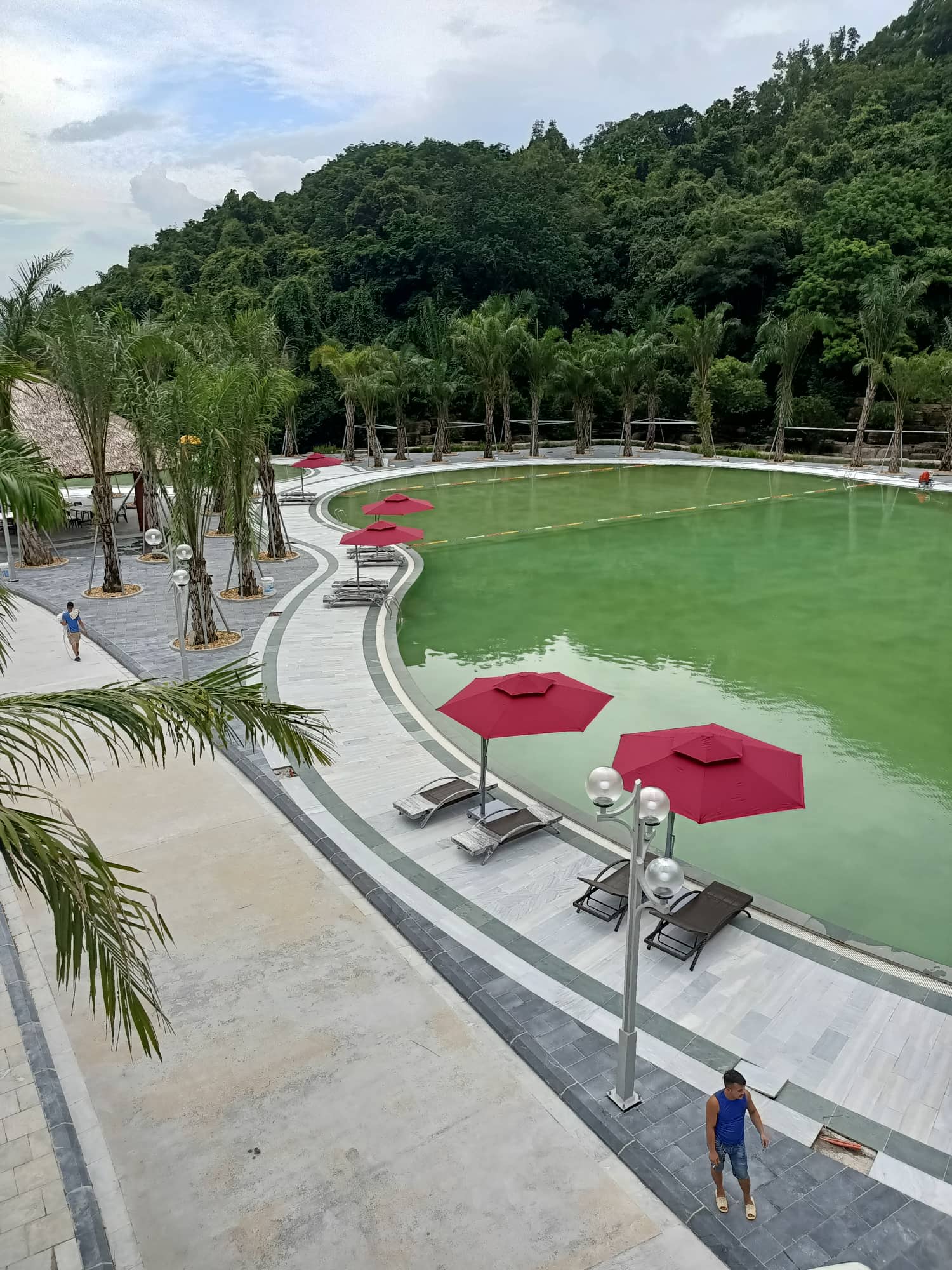 Ô Dù Bể Bơi Giá Rẻ Hà Nội – Lựa Chọn Hoàn Hảo Cho Không Gian Thư Giãn